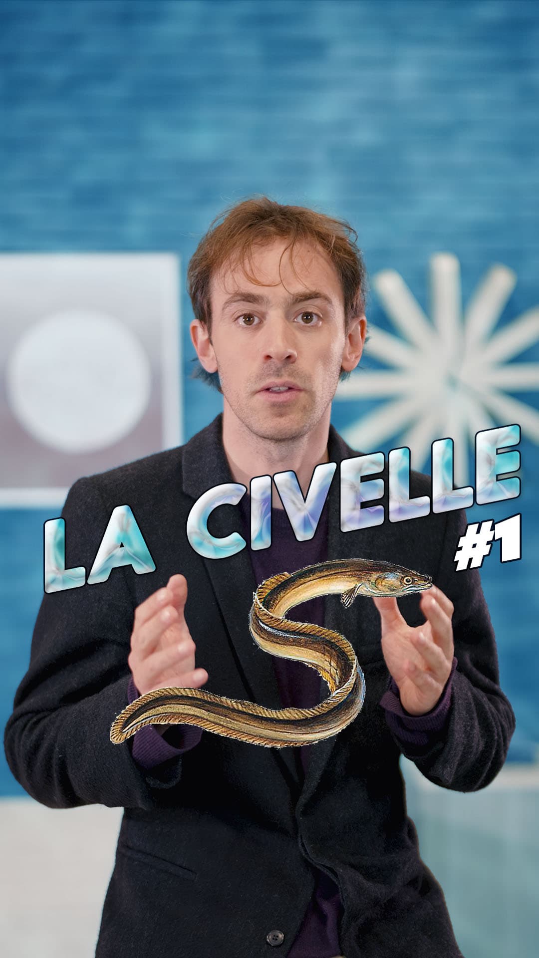 Série de 12 vidéos réseaux sociaux | Vulgarisation aux 200k vues