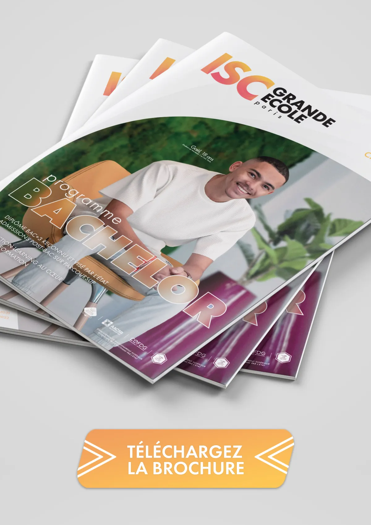 Design des brochures de programmes