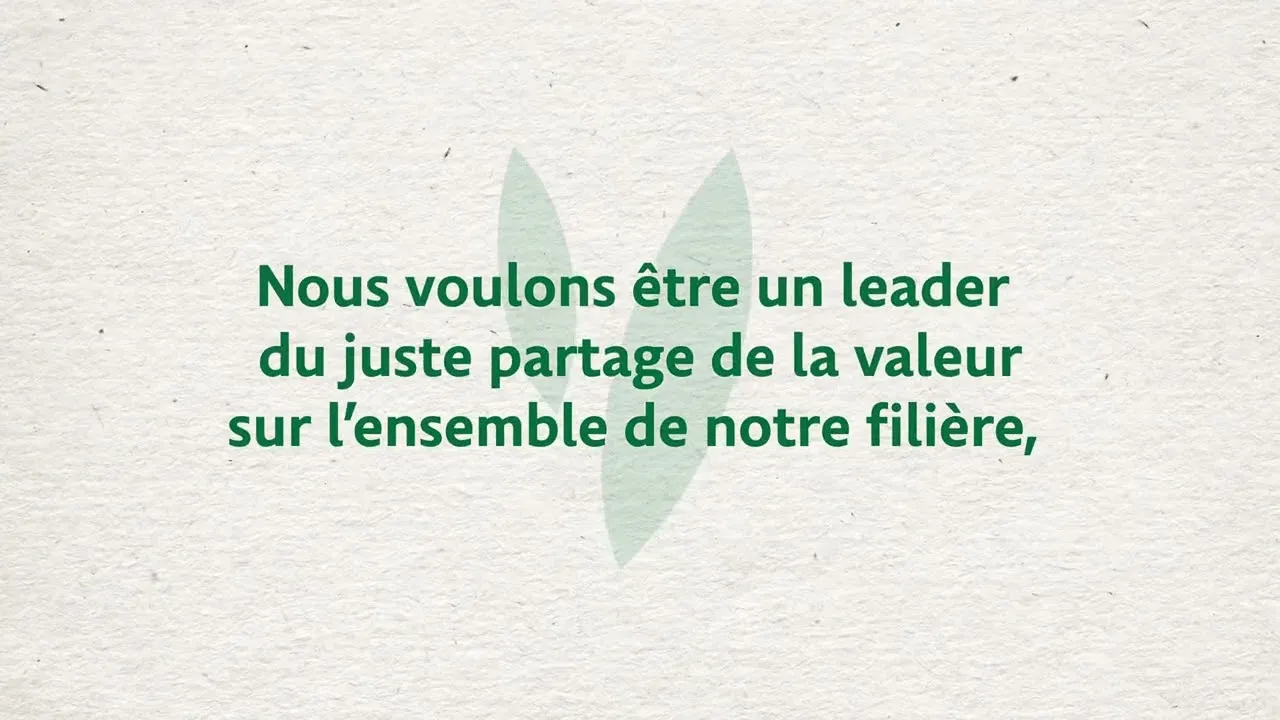 Vision, raison d'être et valeurs en motion design